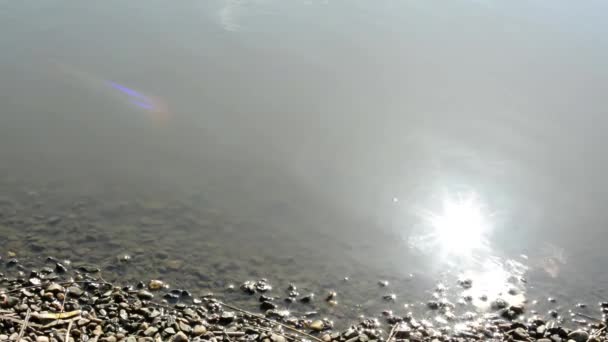 Orilla del lago con reflejo solar — Vídeo de stock