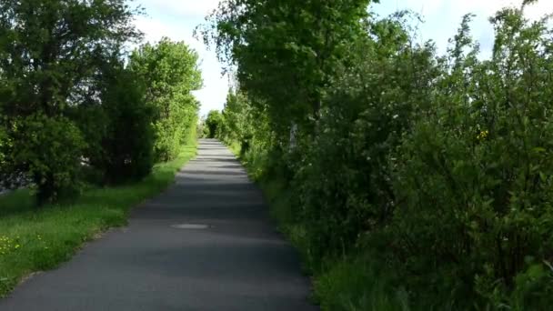 Caminho com a natureza. Gradualmente sol em declínio — Vídeo de Stock