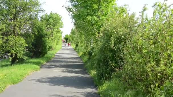 Caminho com a natureza com crianças — Vídeo de Stock