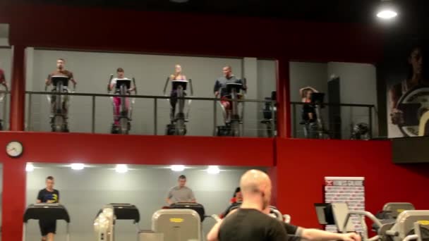 People doing sports, running on machines in fitness, gym. Workout — Stock Video