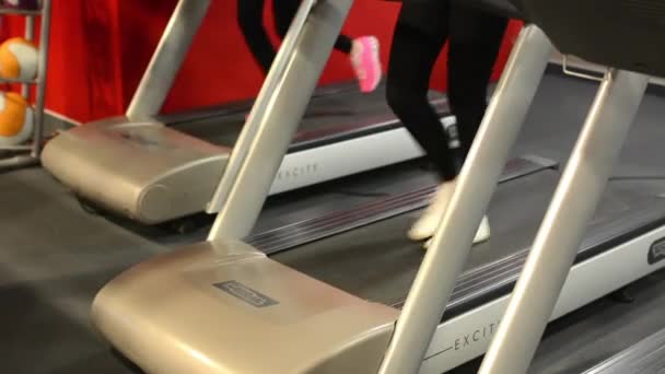 Mujeres jóvenes haciendo deportes, corriendo en máquinas en la aptitud, gimnasio. Entrenamiento — Vídeos de Stock