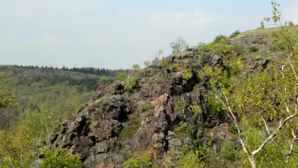 Montagne avec arbres — Video