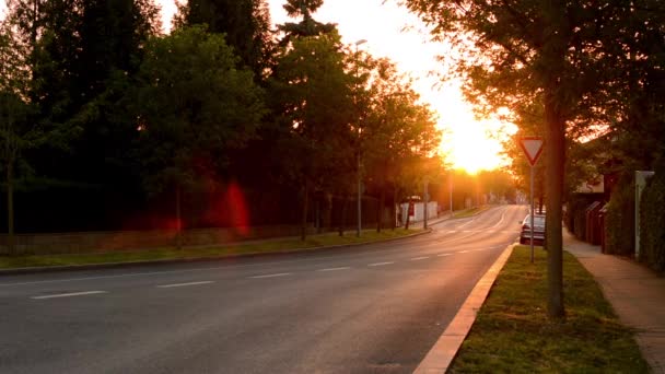 日没。車と人と自然との通り. — ストック動画