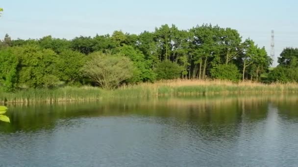 Панорама озера і зелених дерев з синього неба. — стокове відео