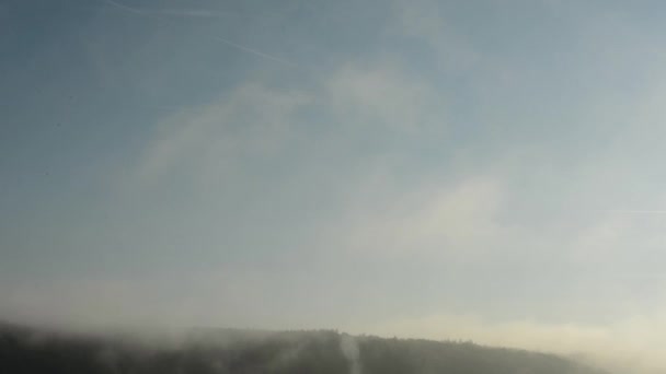 Timelapse - туман (пар) над лесом — стоковое видео