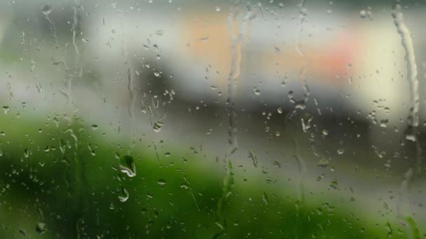 Lluvia - gotas de agua en la ventana (vidrio). Ciudad en el fondo (plano borroso ) — Vídeos de Stock