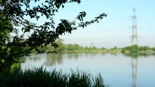 Lake(shore) - with green nature (tree and grass) with high voltage — Stock Video