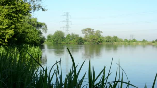 Lake(Shore) - met de groene natuur (boom en de gras) — Stockvideo