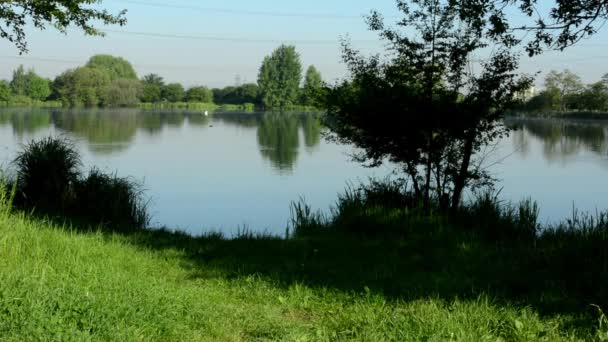 Lago (costa) - com natureza verde (árvore e grama ) — Vídeo de Stock