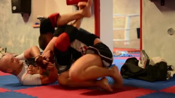 पुरुष खेल करते हैं - लड़ाकू खेल (लड़ाई पुरुषों) - जिम में — स्टॉक वीडियो