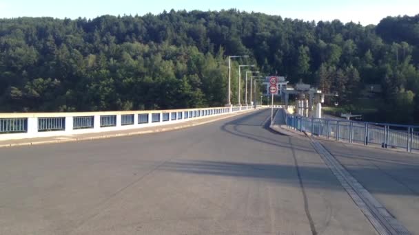Мост через озеро - лес на заднем плане — стоковое видео