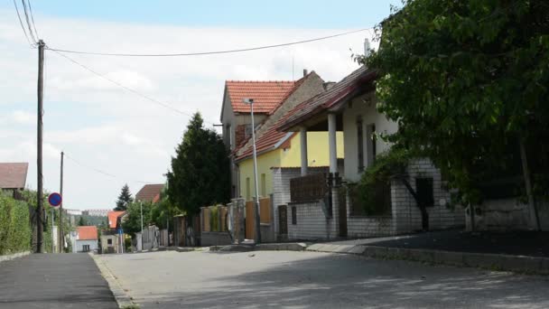 Rua com casas e estrada - vazio — Vídeo de Stock