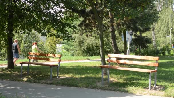 在公园 — — 人们在背景中的长椅上 — 图库视频影像
