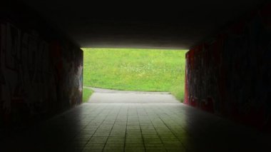 Çevreyolu Altgeçit - dark - çayır çiçeklerle arka planda