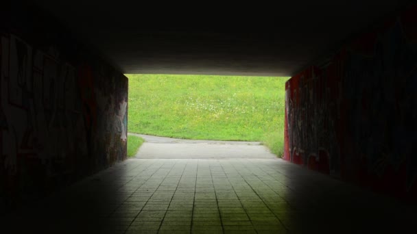 Pedestrian underpass - dark - meadow with flowers in the background — Stock Video