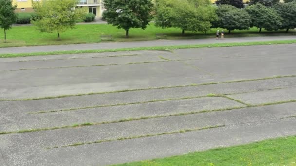 Campo da calcio (calcestruzzo) - prato con fiori e alberi — Video Stock