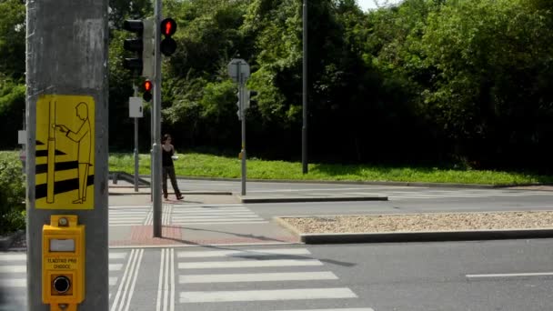 歩行者のトラフィック ライト - 車で忙しい都市の通りで待っている: 性質 — ストック動画