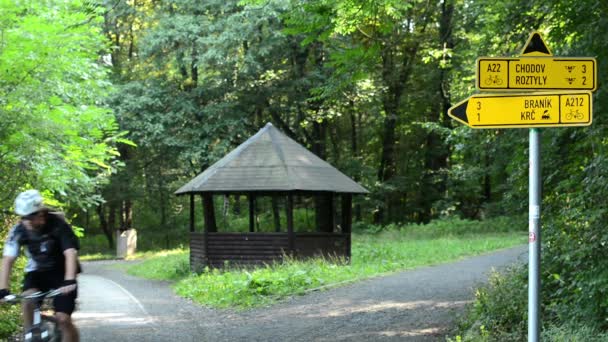 Path labels in the forest (park) - cyclist passes - trees with wooden shelter — Stock Video