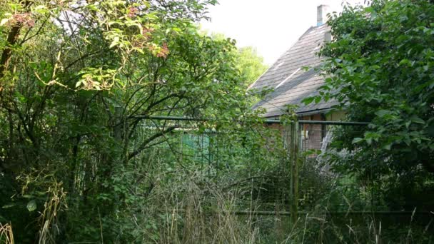 Oud huisje gebouw - begroeid met de natuur (struiken, bomen en gras) - poort — Stockvideo