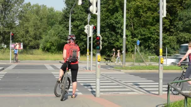 Cyklister och fotgängare som väntar vid trafikljus - upptagen urban street med bilar — Stockvideo