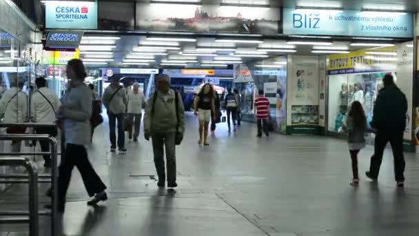 Commuter people - timelapse - people walking in the subway — Stock Video