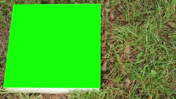 Panneau de pierre sur le sol (herbe) - écran vert — Video