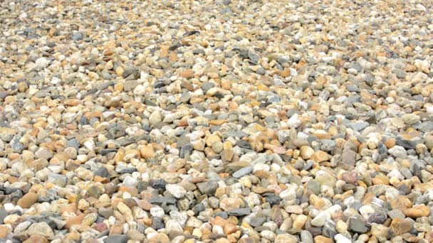 Piedras pequeñas multicolores - fondo — Vídeo de stock