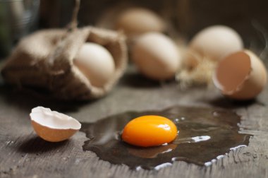 yumurta, tavuk yumurtası