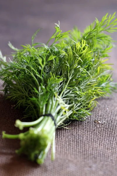 Useful and delicious greenery, dill — Stock Photo, Image