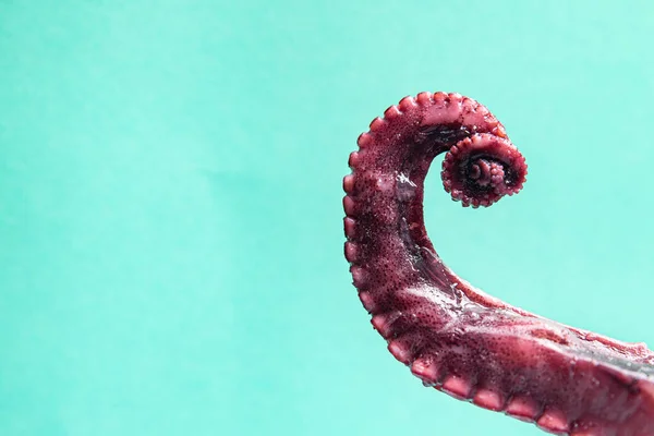 Octopus Klauwen Zeevruchten Zee Reptielen Vers Portie Klaar Eten Maaltijd — Stockfoto