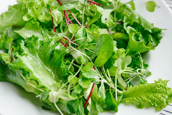 Mistura Salada Fresca Folhas Ervas Vitamina Aperitivo Fresco Pronto Para — Fotografia de Stock
