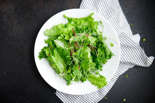 Ensalada Fresca Mezcla Hojas Hierbas Vitamina Aperitivo Fresco Listo Para —  Fotos de Stock