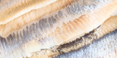 Ringa balıklı fileto taze deniz mahsulü atıştırmalıkları fotokopi masasında. 