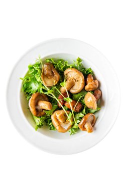 Mantar turşusu salata salatası sağlıklı yemek aperatifleri fotokopi uzayı arka plan kırsal üst görünüm keto veya paleo diyet vejetaryen veya vejetaryen gıda