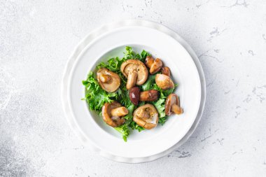 Mantar turşusu salata salatası sağlıklı yemek aperatifleri fotokopi uzayı arka plan kırsal üst görünüm keto veya paleo diyet vejetaryen veya vejetaryen gıda