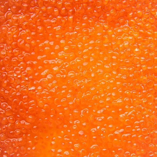 Caviar Rouge Fruits Mer Saumon Poisson Kéta Repas Sain Collation — Photo