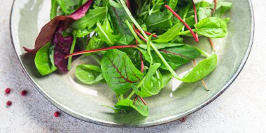Taze yeşil salata yaprakları masada sağlıklı yemek atıştırmalıkları fotokopi alanı arka plan kırsal manzarası