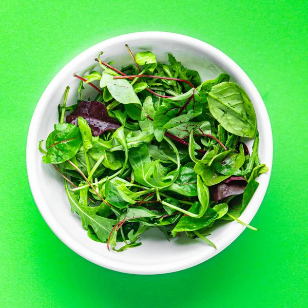 샐러드 잎으로는 Arugula Spinach Lettuce Frise Radchio Mung Bean Salad — 스톡 사진