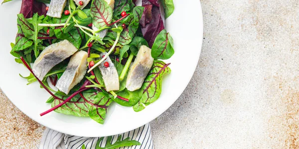 Salada Arenque Fatias Peixe Frutos Mar Mistura Verde Alface Pronta — Fotografia de Stock