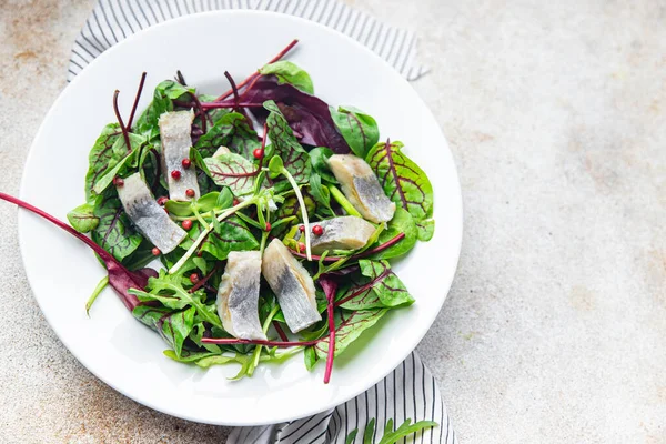 Salada Arenque Fatias Peixe Frutos Mar Mistura Verde Alface Pronta — Fotografia de Stock