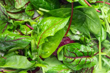 Yeşil salata yaprakları mikro yeşil sulu atıştırmalıkları karıştırmaya hazır. 