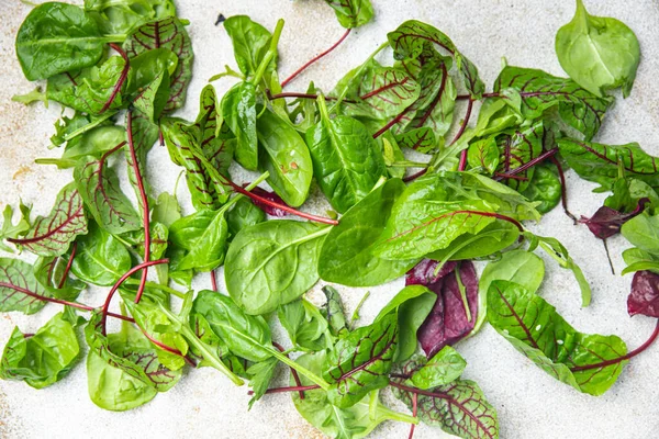 Salade Feuilles Vertes Mélanger Microvert Juteux Collation Prêt Manger Sur — Photo