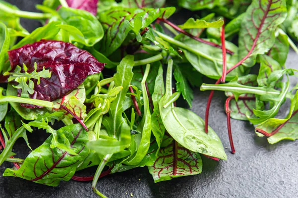 샐러드푸른 잎에는 건강에 식사를 복사된 — 스톡 사진