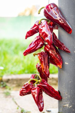 Espelette biberi kurutulmuş sebze baharatı Fransa taze sağlıklı yemek diyet aperatifi masanın üzerinde fotokopi uzayı arka plan arka plan kırsal üst görüş keto veya paleo diyet vejetaryen veya vejetaryen gıda