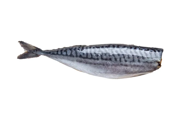 Рыба Макрель Морепродукты Свежие Здоровые Продукты Питания Диетические Закуски Столе — стоковое фото