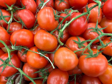 Domates taze kırmızı sulu tezgah meyve porsiyon sağlıklı yemek diyet aperatif masa üzerinde fotokopi uzay gıda arka planı