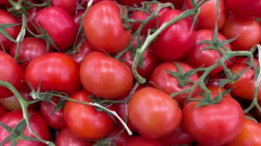 Domates taze taze meyve taze porsiyon sağlıklı yemek diyet aperatifi masanın üzerinde fotokopi arka plan keto ya da paleo diyet vejetaryen ya da vejetaryen yemeği