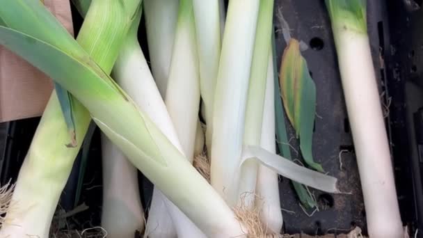 Puerro Cebolla Fruta Contador Mercado Comida Saludable Dieta Bocadillo Mesa — Vídeos de Stock