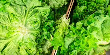 Salata salatası salatası yeşil yapraklar marketin tezgahında meyve bırakır sağlıklı yemek diyet çerez arka plan uzay yiyecek arka plan kırsal üst görüş keto veya paleo diyet vegan veya vejetaryen vejetaryen vejetaryen vejetaryen