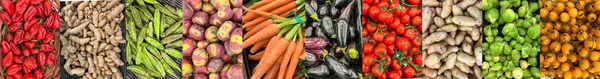 Alimentos Collage Verduras Varios Tipos Diferentes Frutas Mostrador Del Mercado —  Fotos de Stock